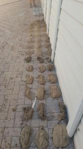IMG-20160624-WA0009